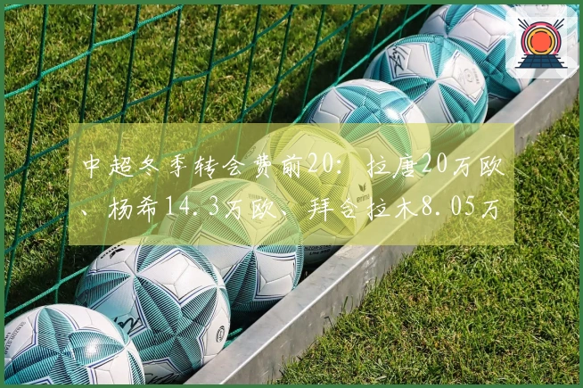 中超冬季转会费前20：拉唐20万欧、杨希14.3万欧、拜合拉木8.05万