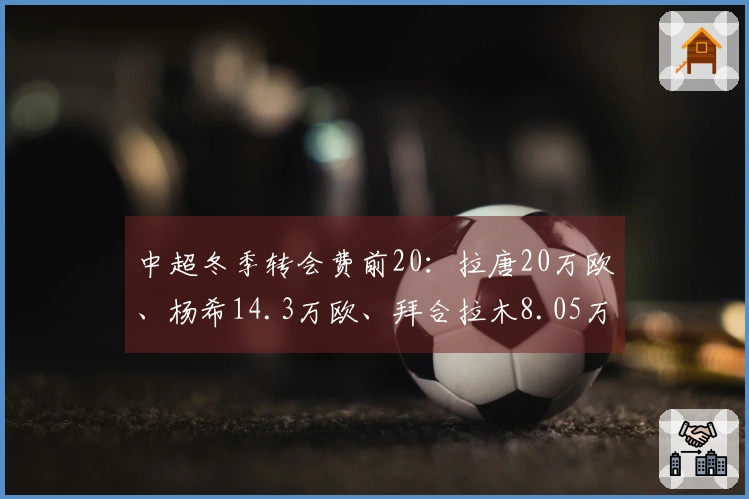 中超冬季转会费前20：拉唐20万欧、杨希14.3万欧、拜合拉木8.05万