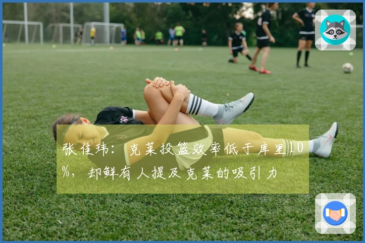 张佳玮：克莱投篮效率低于库里10%，却鲜有人提及克莱的吸引力